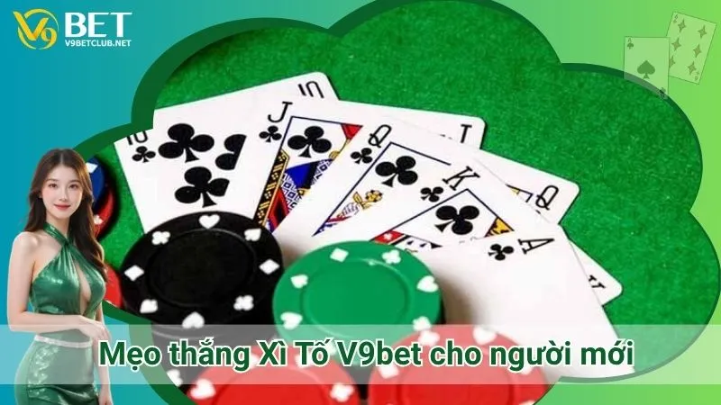 Mẹo thắng Xì Tố V9bet cho người mới