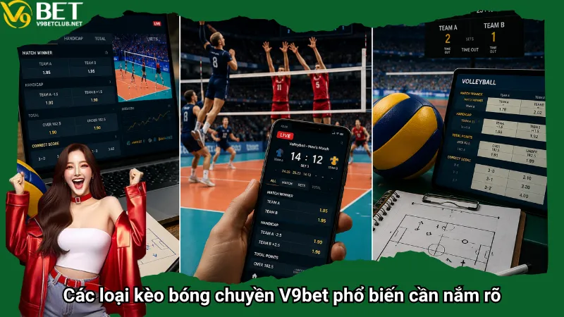 Các loại kèo bóng chuyền V9bet phổ biến cần nắm rõ